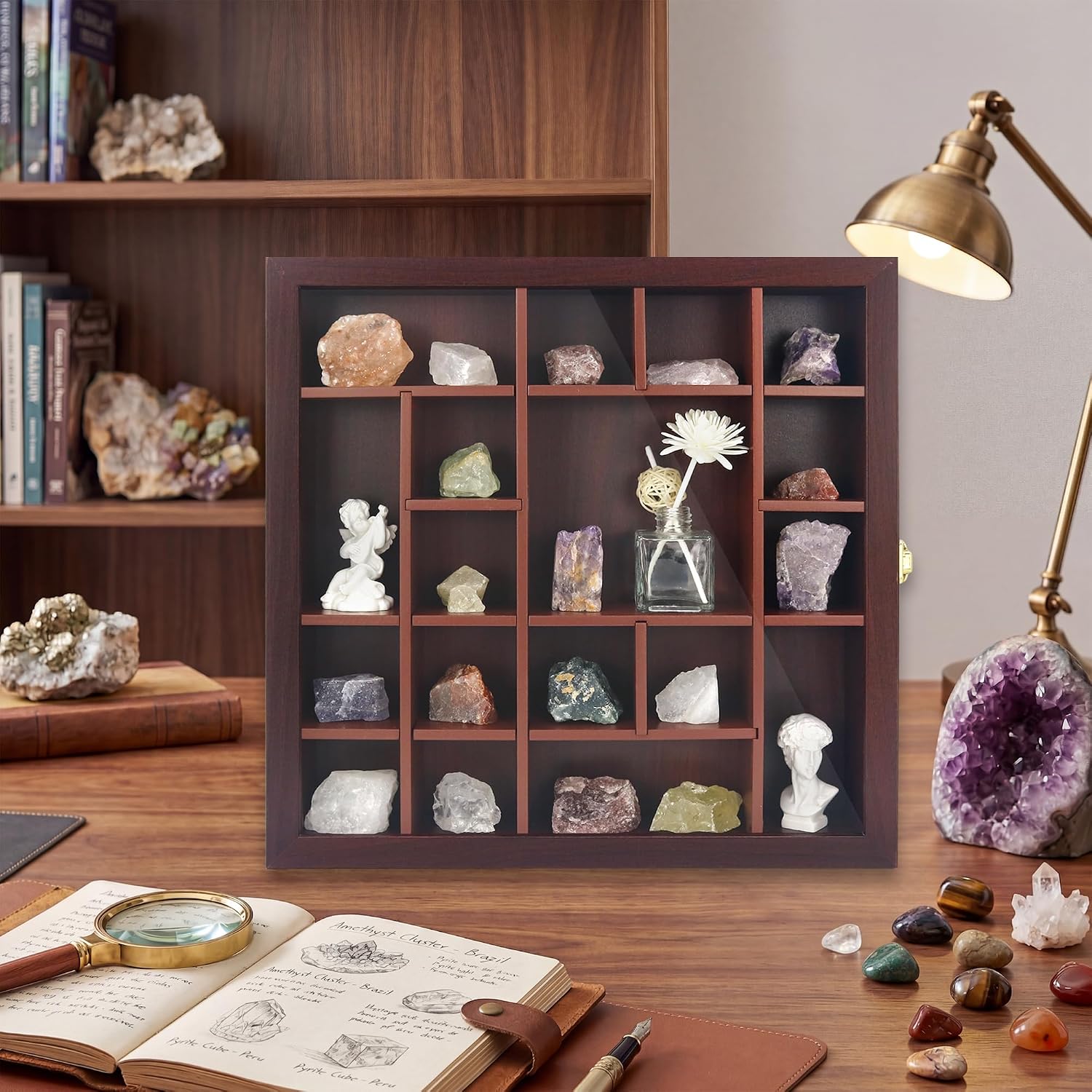 FramePro Rock Display Case - Adjustable Mineral Collection Box with Glass Lid, Wooden Cabinet for Rock, Fossil, Crystal, Seashell Collections - Geology Gift for Adults/Kids (13.5" x 13.5", Brown)