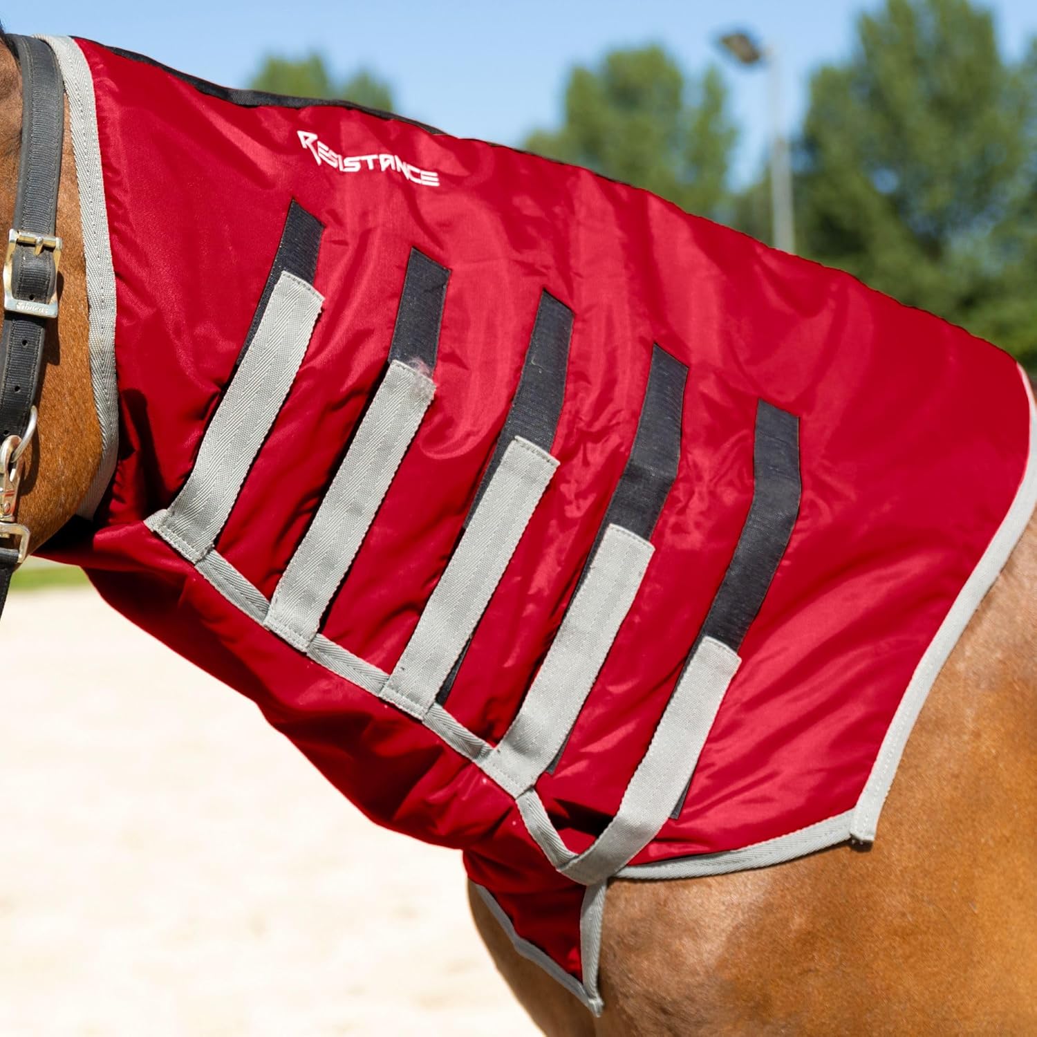 Resistance Lightweight Breathable Horse Sleazy Slickers Horse Care Sheet Neck Cover | Comfortable Waterproof Headless Hood (200 gm Fill)