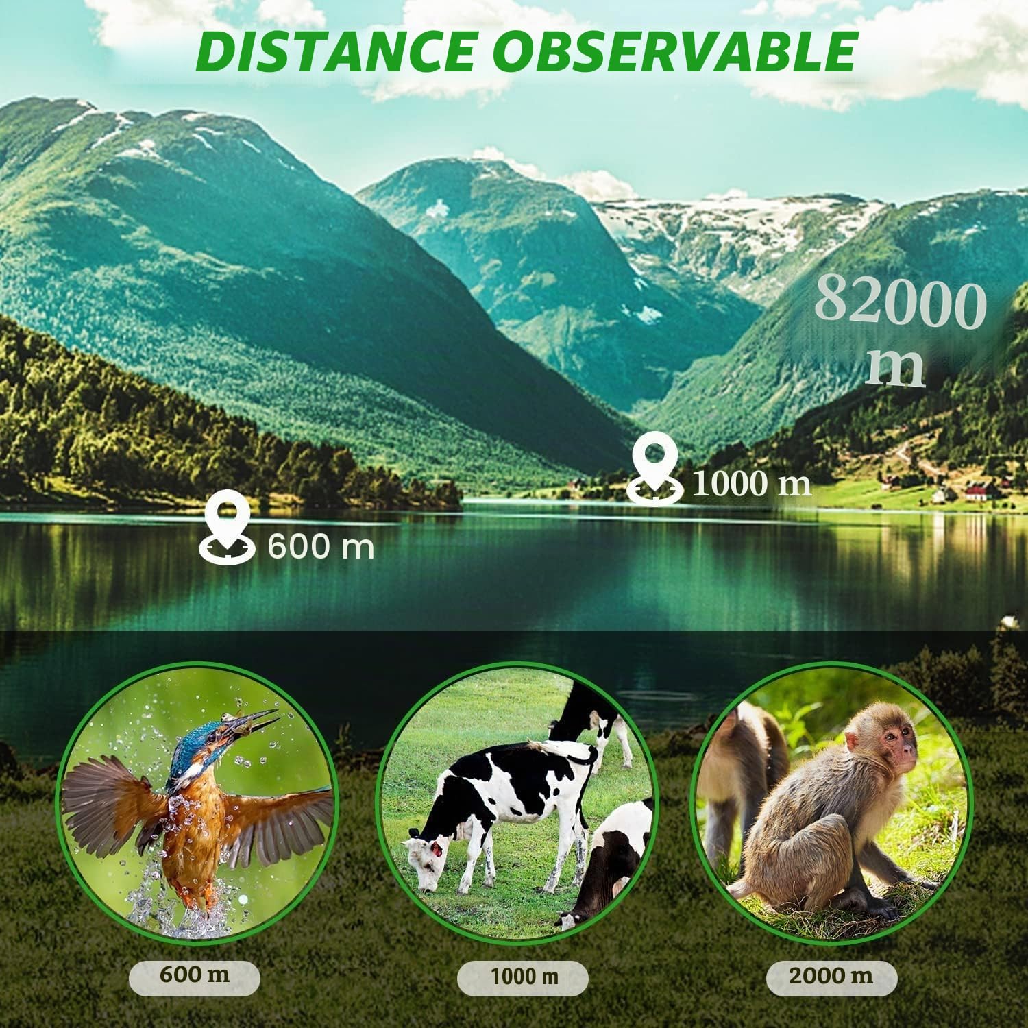 Pankoo Télescope Monoculaire 16 x 52 pour Adultes et Enfants - Prisme de Puissance 2024, Compact HD pour Cadeaux, Activités de Plein Air, Observation des Oiseaux