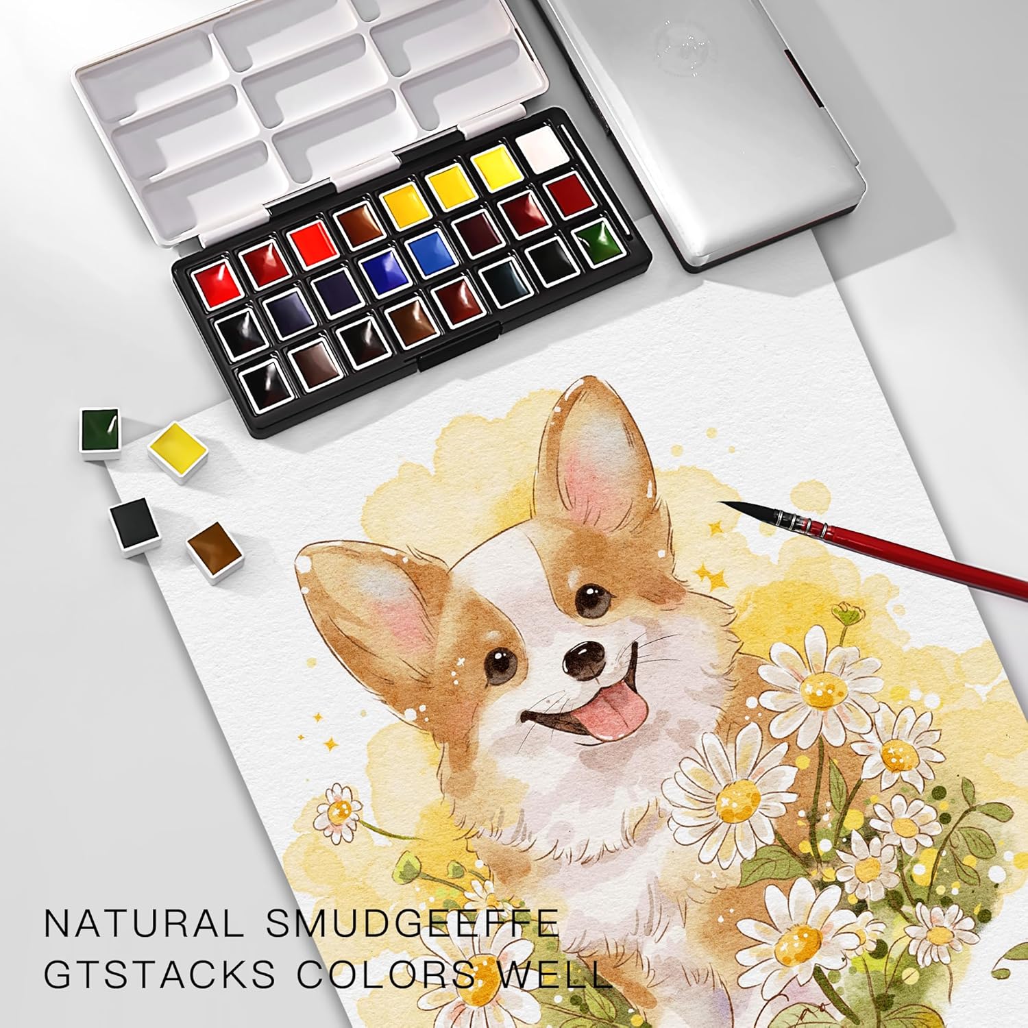 rubens Watercolor Paint Set, 24 Vivid Colors Transparent Watercolor, Artist Solid Watercolor Paint, Professional Travel Water Color, Portable Art Paint Supplier White Box for Beginner, Student, Adult