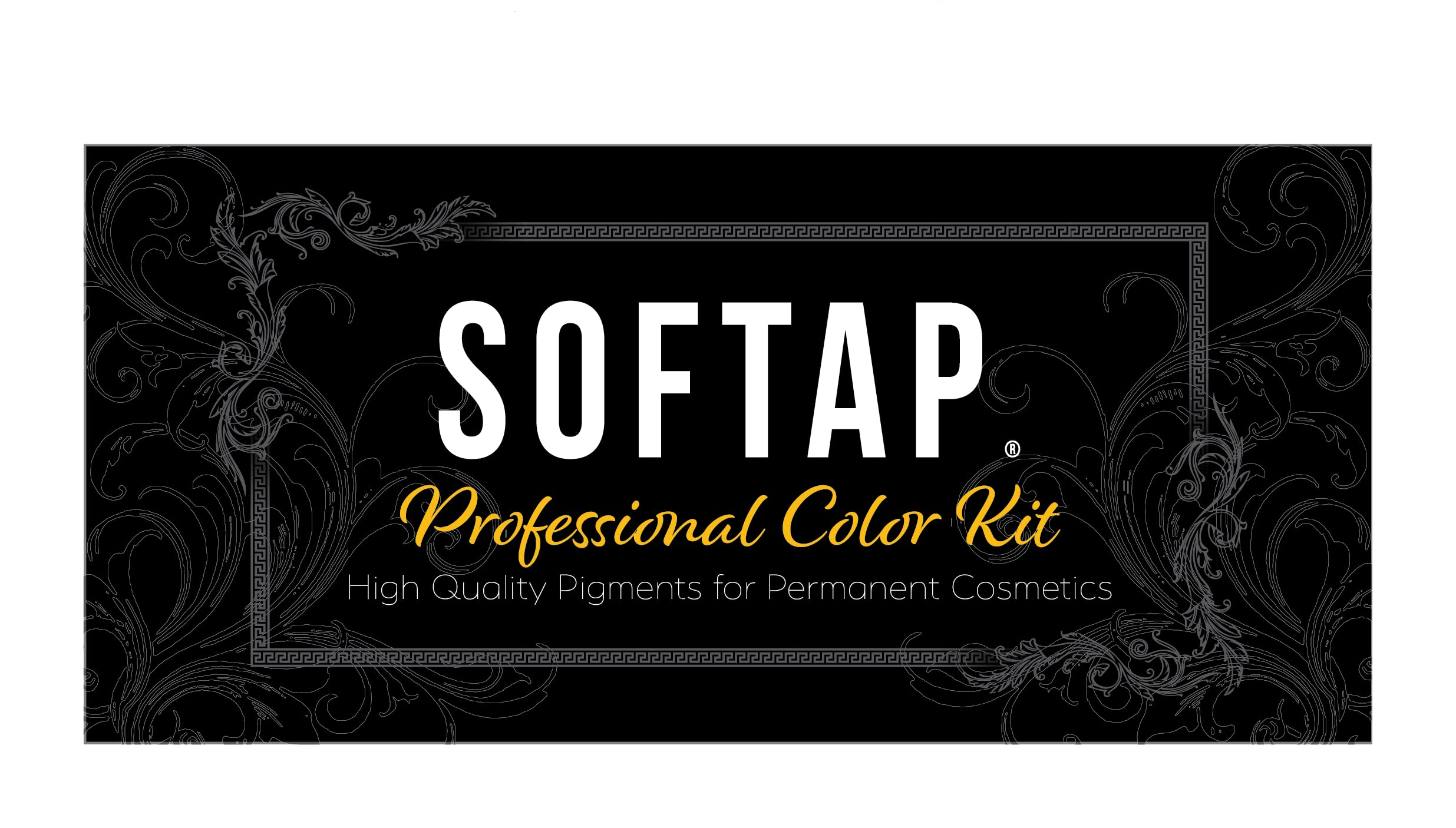 SofTap PMU Eyeliner Color Mini Kits for Permanent Cosmetic Procedures (Best of Eyeliner)