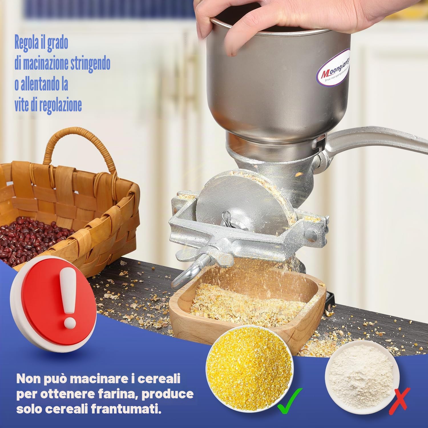 Moongiantgo Mulino Manuale per Cereali con Tramoggia Grande da 13cm & Morsetto da Tavolo da 4cm, Finezza di Macinatura Regolabile, Macina a Mano in Ghisa, per Noci, Caffè, Semi, Mais, Spezie