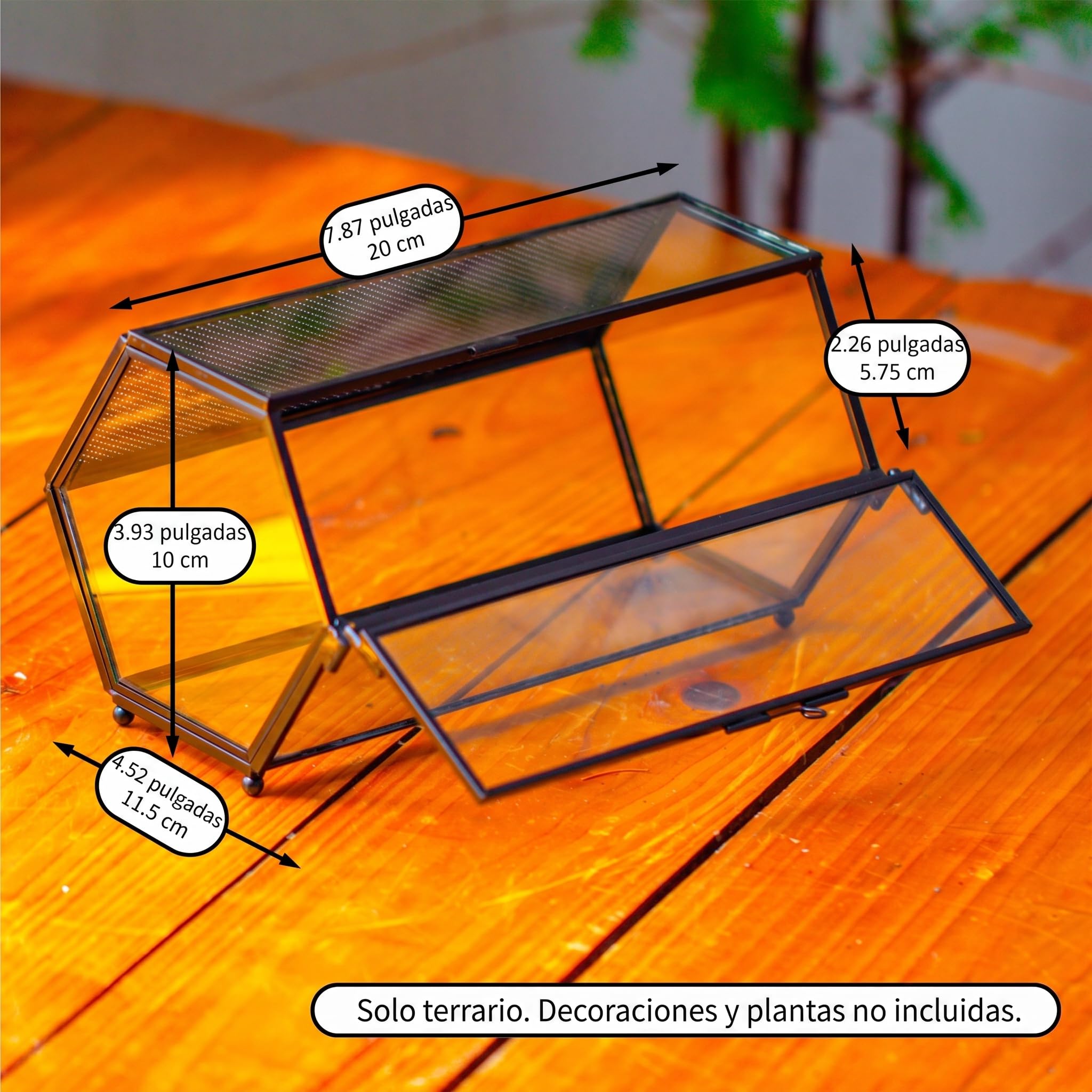 NCYP 20x11,5x10 cm Mini terrario de Cristal con Malla y Puerta para arañas saltadoras, hábitat de Insectos pequeños, terrario de suculentas en Forma Hexagonal (Solo terrario, sin Plantas)