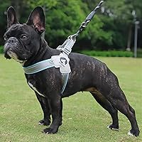 Vista 5 de Arnés para perro sin tirones, arnés y correa ajustable reflectante, de fácil control, para perros pequeños y medianos con una correa de cuero