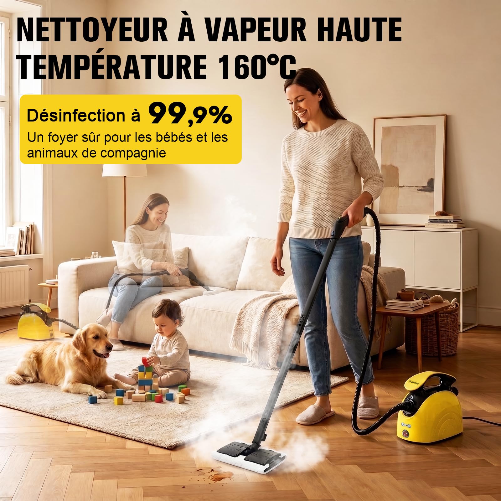 Waitbird Nettoyeur à Vapeur Manuel, 5 Bars, Vapeur 160 °C, 2500 W