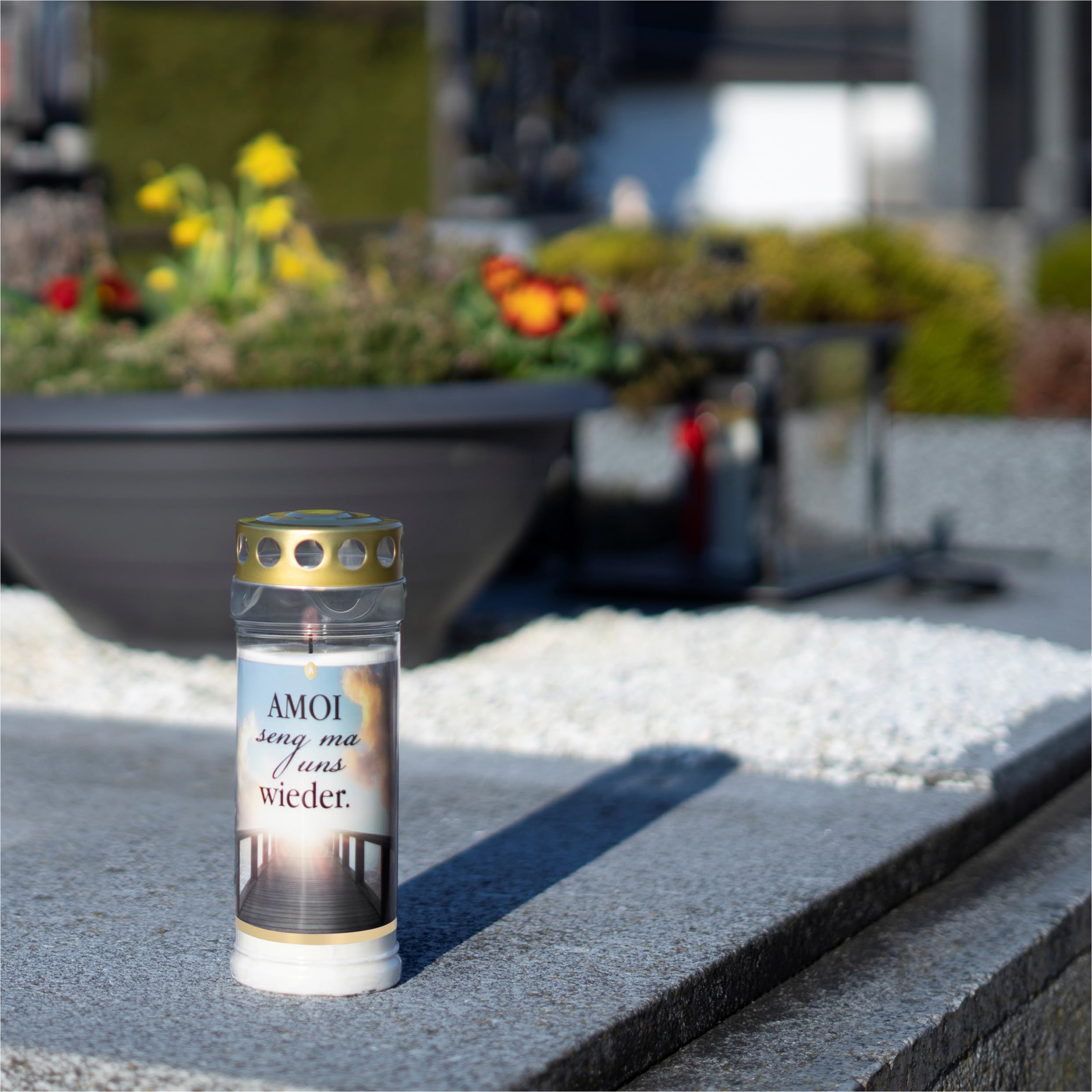 HOFER Grabkerzen, Grablicht, Brenndauer ca. 7 Tage, MUNDART SELECT, 12 Stk | Regenfeste Trauerkerzen, Friedhofskerze mit Motiv & Spruch, für Grabdeko & Grabschmuck