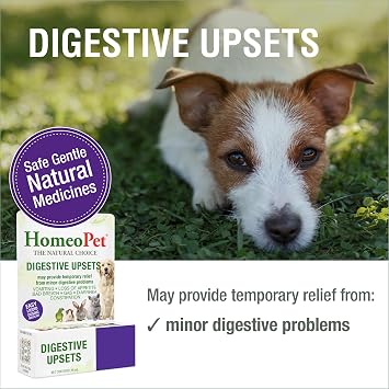 HomeoPet Digestive Upsets, Supplement for Dogs and Cats, 15 Milliliters | Natural digestive support for cats, dogs, and other pets, safe homeopathic formula, liquid drops suitable for daily use