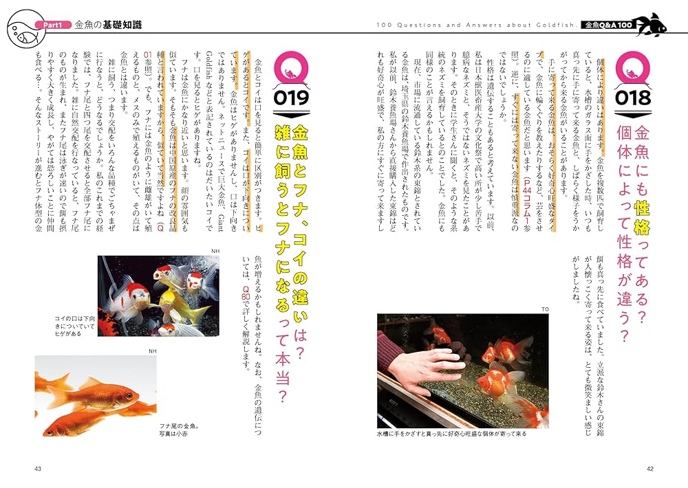 魚拓芸術　 稲田黄洋氏サイン入り 本人所有品? Amazon.co.jp: 金魚QA100 : 川澄 太一: Japanese Books