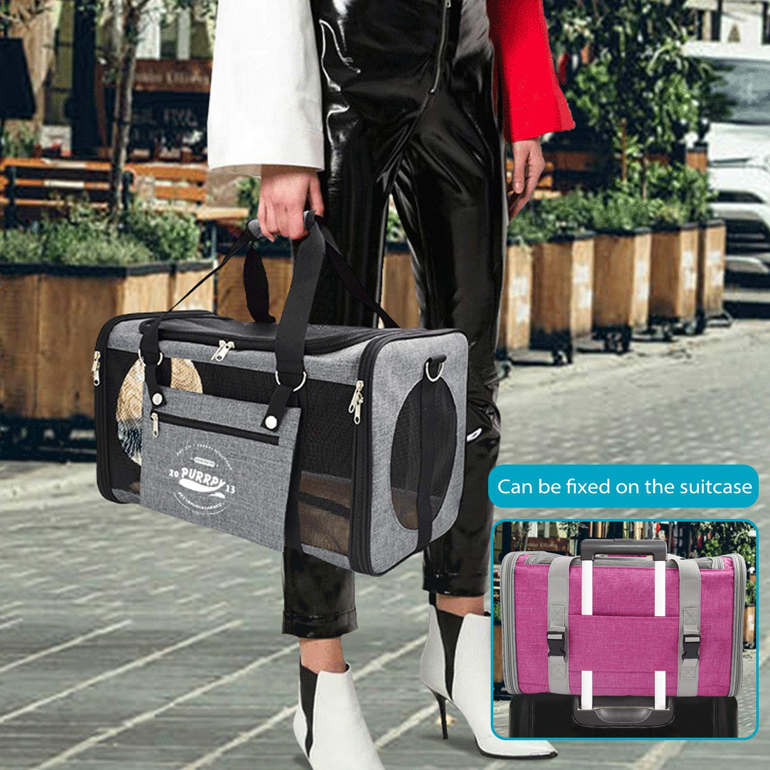 PETCUTE Transportín Perro Gato Bolsa De Transporte Plegable para Mascotas Jaulas para Perros Pequeño Medianos Coche Avion Cabina homologado Portador de Viaje hasta 10 Kg