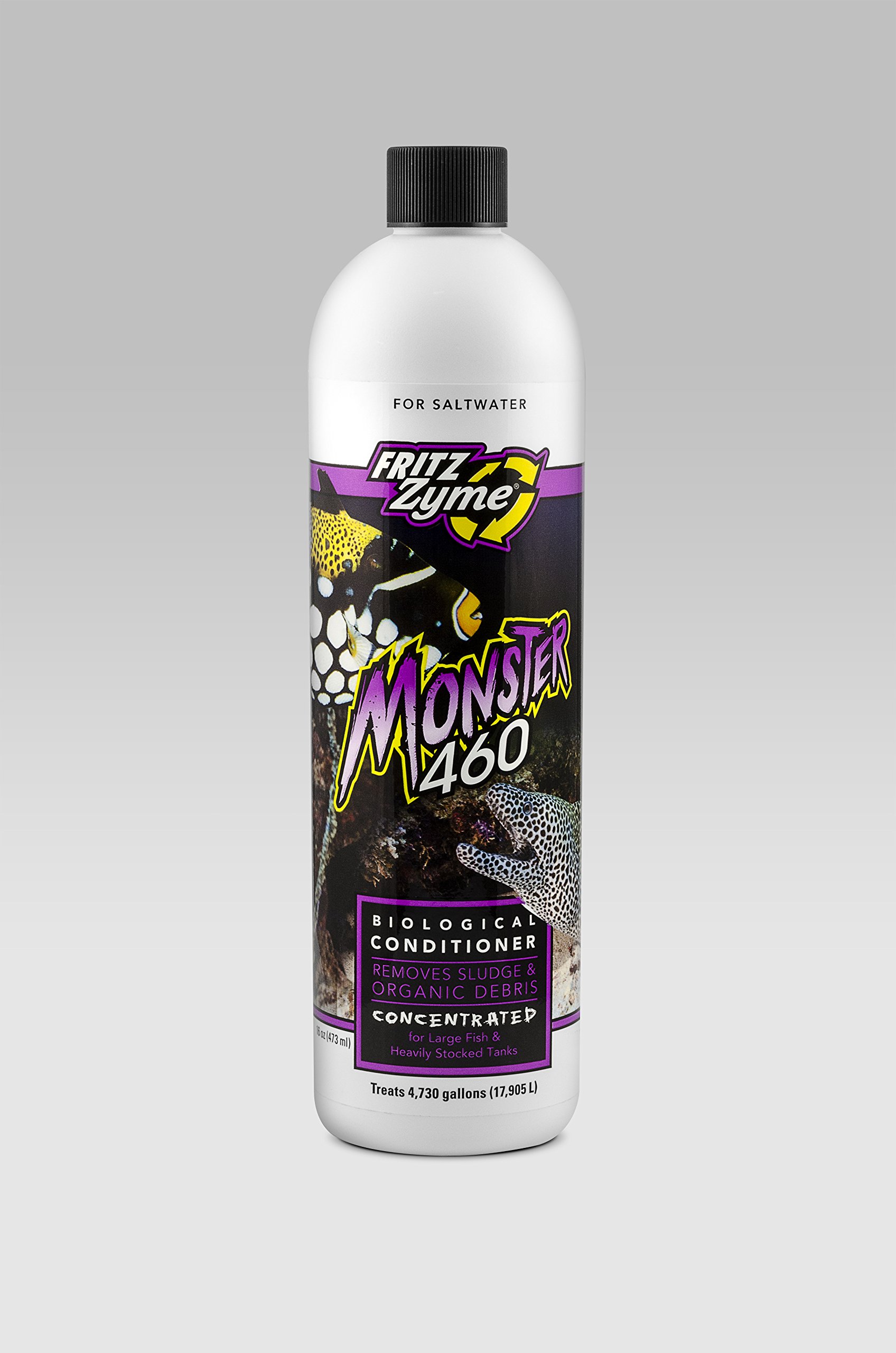 See full amazon price history chart for Fritz Aquatics Zyme Monster 460 | Size: 473ml (16oz) | Concentrated Saltwater Beneficial Bacteria | Indian Fish Monsters (IFM) Fritz Aquatics Zyme Monster 460 | Size: 473ml (16oz) | Concentrated Saltwater Beneficial Bacteria | Indian Fish Monsters (IFM) (B00OTH4TNE) Amazon Price History, Amazon Price Tracker