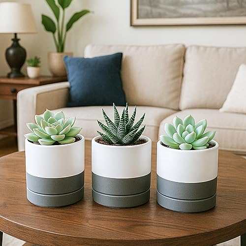 Miniatura 6 de Maceta de Cerámica con Agujero de Drenaje y Platillo, Maceta Redonda con Forma Cilíndrica, Interior