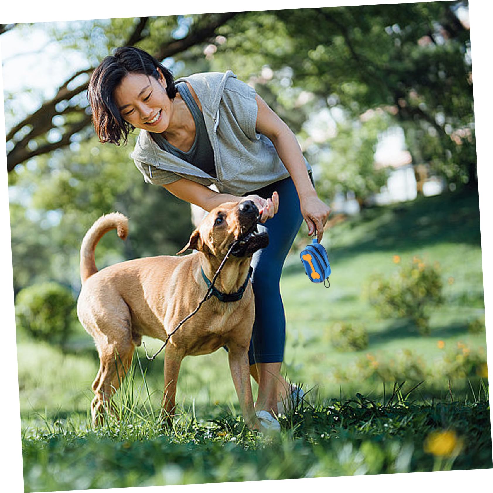 Yardwe Dispensador de Bolsas para Excrementos de Perro con Tela Oxford y 8 Rollos, Bolsa con Cremallera para Correa y Diseño con Gancho para Actividades al Aire Libre