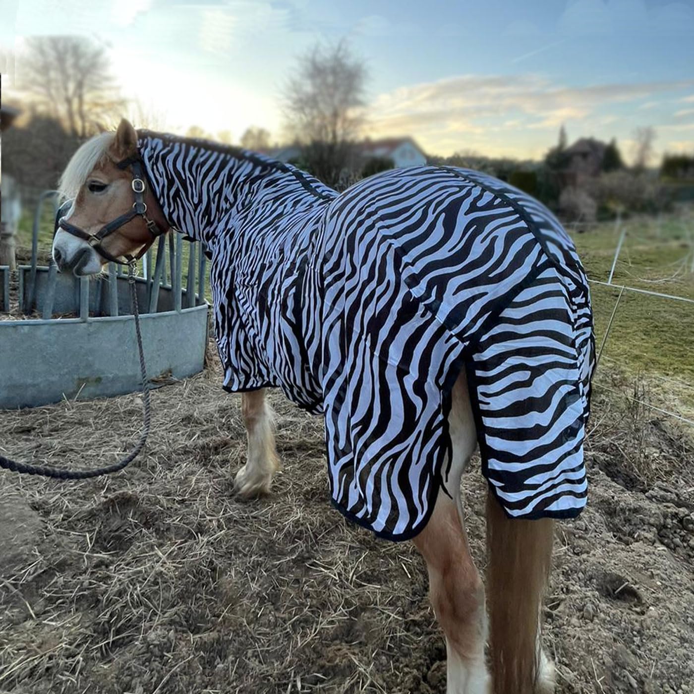 Brama-West 135 Manta antimoscas con cuello para caballos, ZebraProtect – Manta para caballos contra insectos molestos con cinturones abdominales, cierre frontal, pliegue y cola – Manta para insectos