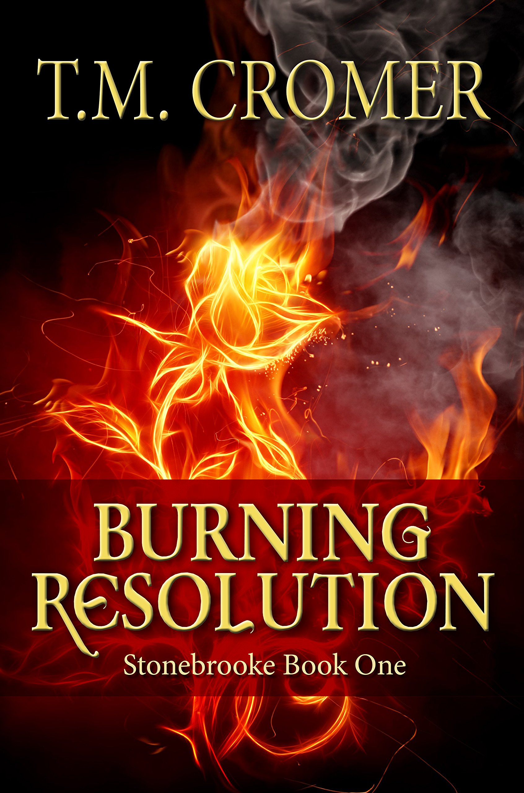 Burning Resolution (Stonebrooke Series Book 1)