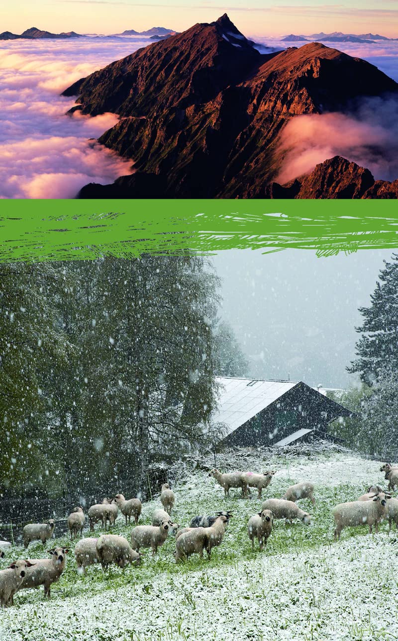 Petit manuel de météo montagne