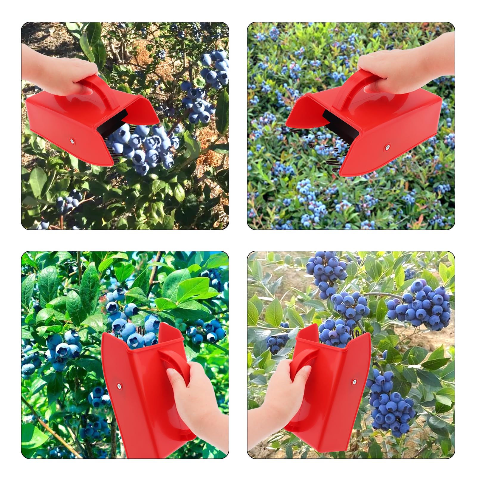Fruit Picking Tool Ergonomic Handle Berry Picking Tool With Comb ...