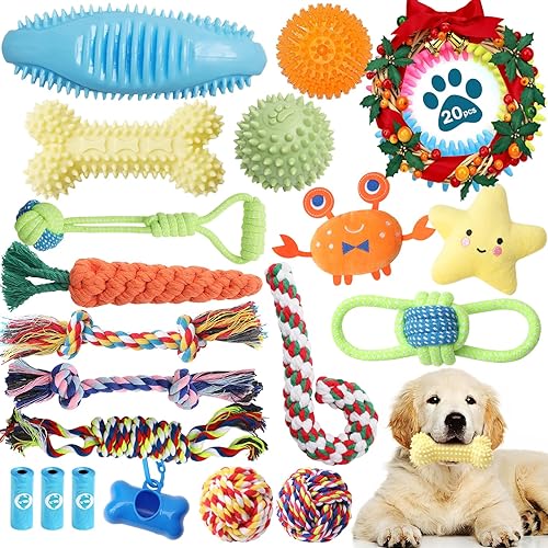 Dog Chew Toys 20 Pack, Christmas Puppy Chew Toys for Teething, Pet Toothbrush Chew Toys for Puppy, Indestructible Pet Interactive Tug of War Squeaky Rope Toys for Puppies Small Medium Breed Chewers