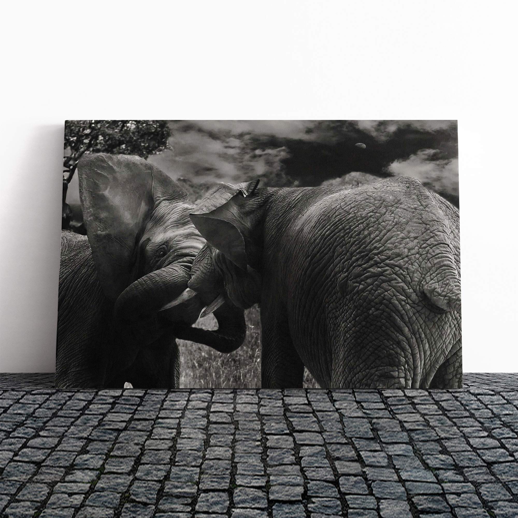 Elephants (1) Canvas Print | Gallery Wrapped 30mm Frame Wall Art | 30x20 inches | Ready to Hang | Modern Animal Picture | Living Room Bedroom Lounge Office