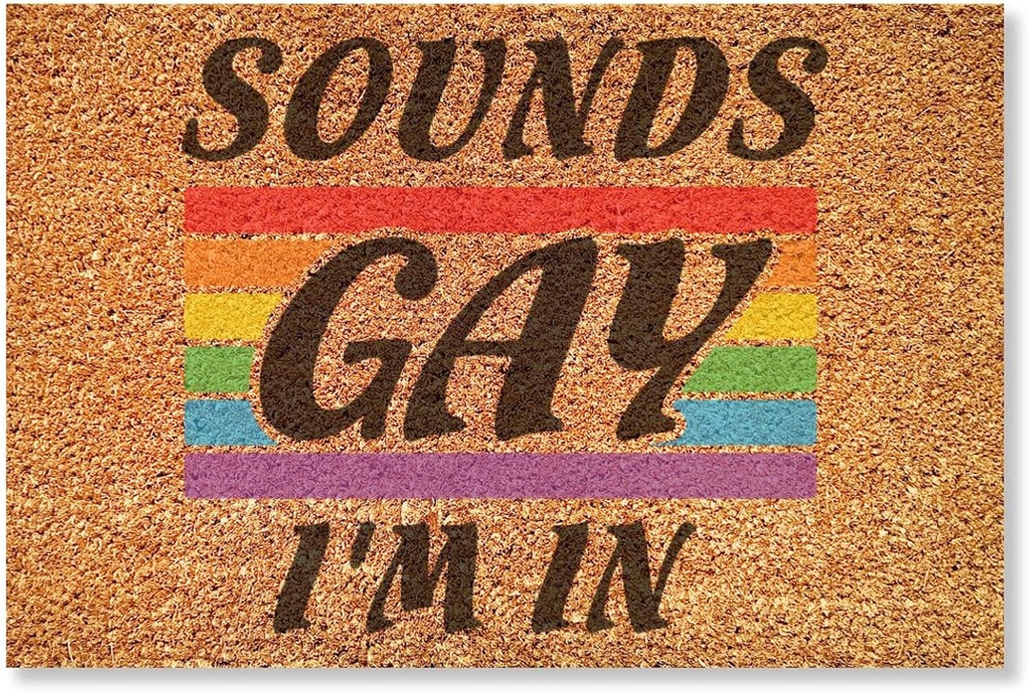 Sounds Gay I'n in Welcome Coir Doormat Gay Pride LGBT Equality Lesbian Indoor/Outdoor Decorative Doormats Rainbow Farmhouse Entrance Rug Mats for Home Office Patio 24x36 inch