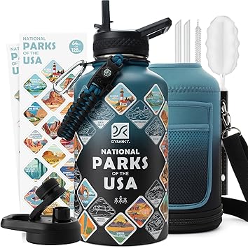 Insulated Water Bottle | Thickened Stainless Steel Vacuum Metal | Portable Sports Half Gallon Large Water Jug for Gym and Hiking with Straw, Carrier Bag, Handle Strap | BPA-Free 64 oz