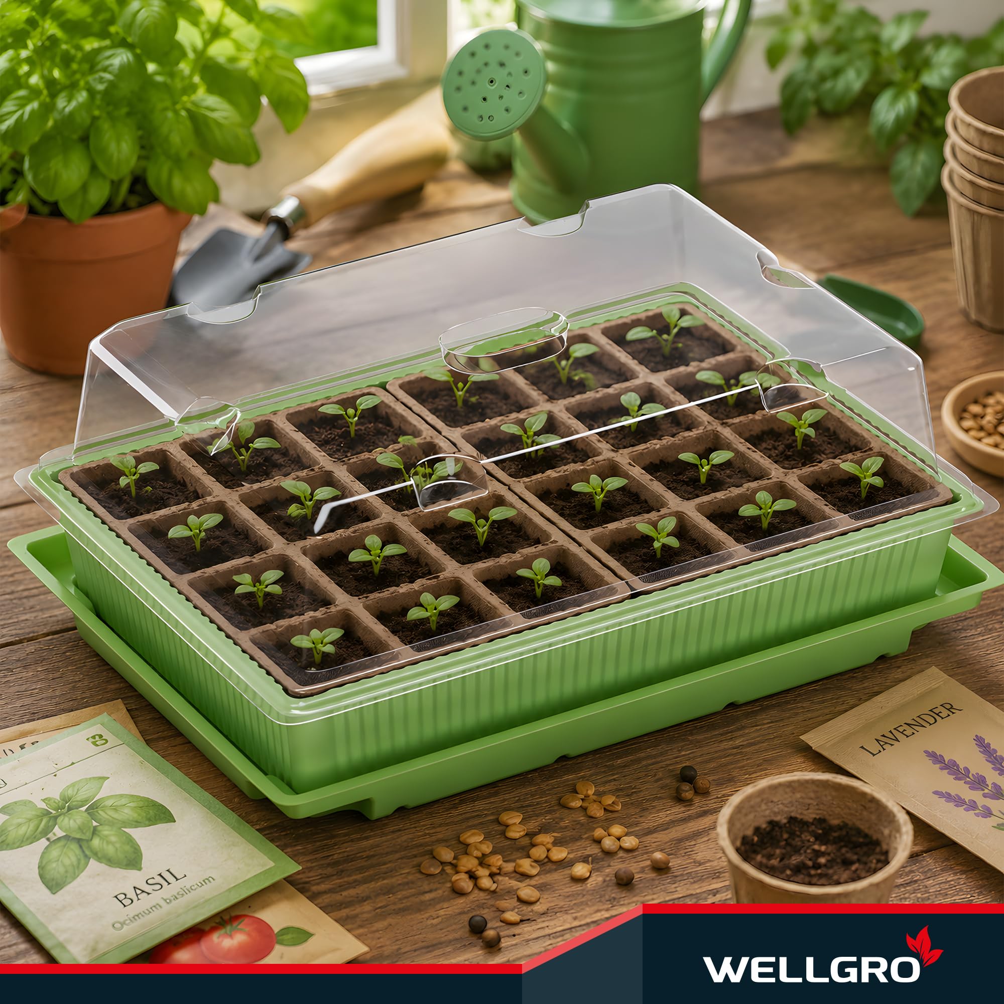 WELLGRO Mini szklarnia na 24 rośliny, ok. 27 x 19 x 10 cm (dł. x szer. x wys.), zielona/przezroczysta, tworzywo sztuczne/celuloza, ilość do wyboru, liczba sztuk: 2 sztuki