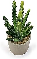 Vista 13 de allgala Pequeño grupo de plantas suculentas artificiales de escritorio con maceta de arcilla natural