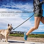 Hands-Free Dog Leash, 10 FT Adjustable Dog Training Leash, Heavy-Duty Nylon Leash, No-Pull for Medium and Large Dogs
