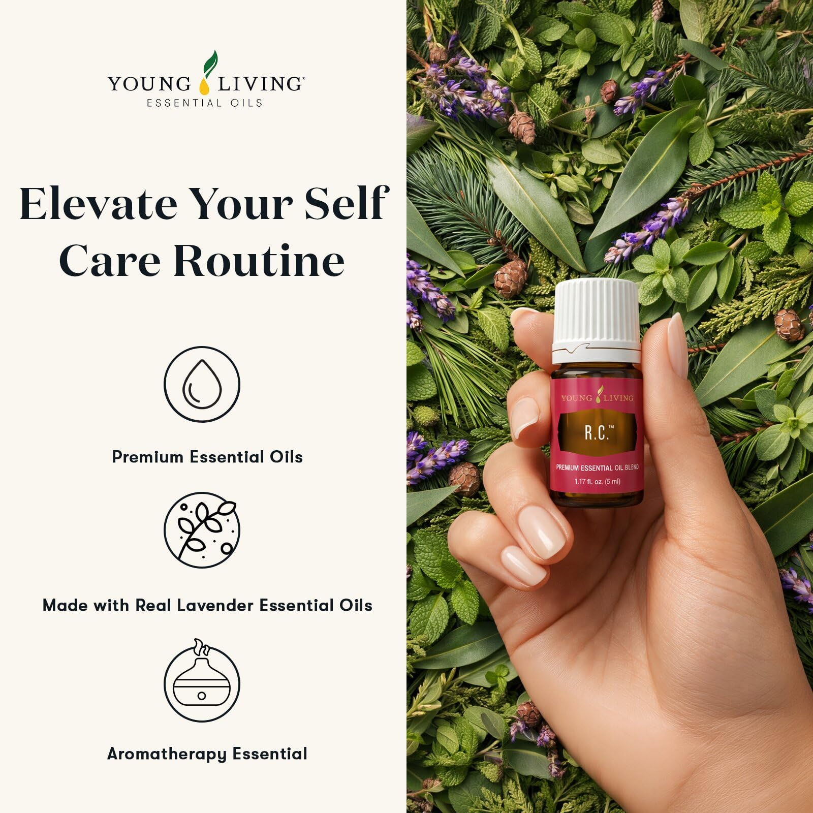 Amazon.com: Young Living R.C. Premium Essential Oil 5 ml