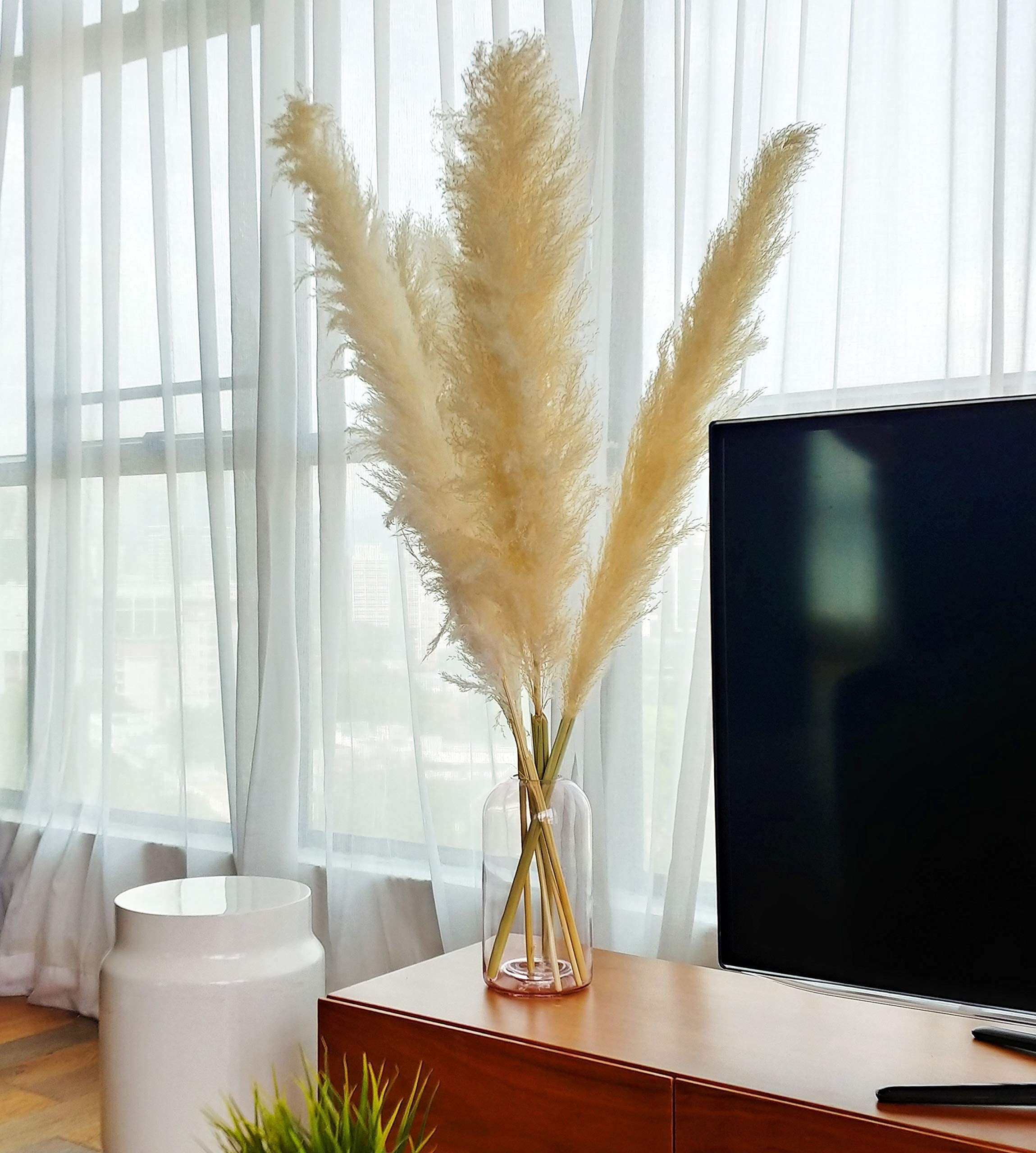 EZDC 4 Stems Natural Beige Dried Pampas Grass Large, 46” Tall Pampas Grass Plants, Pampas Grass