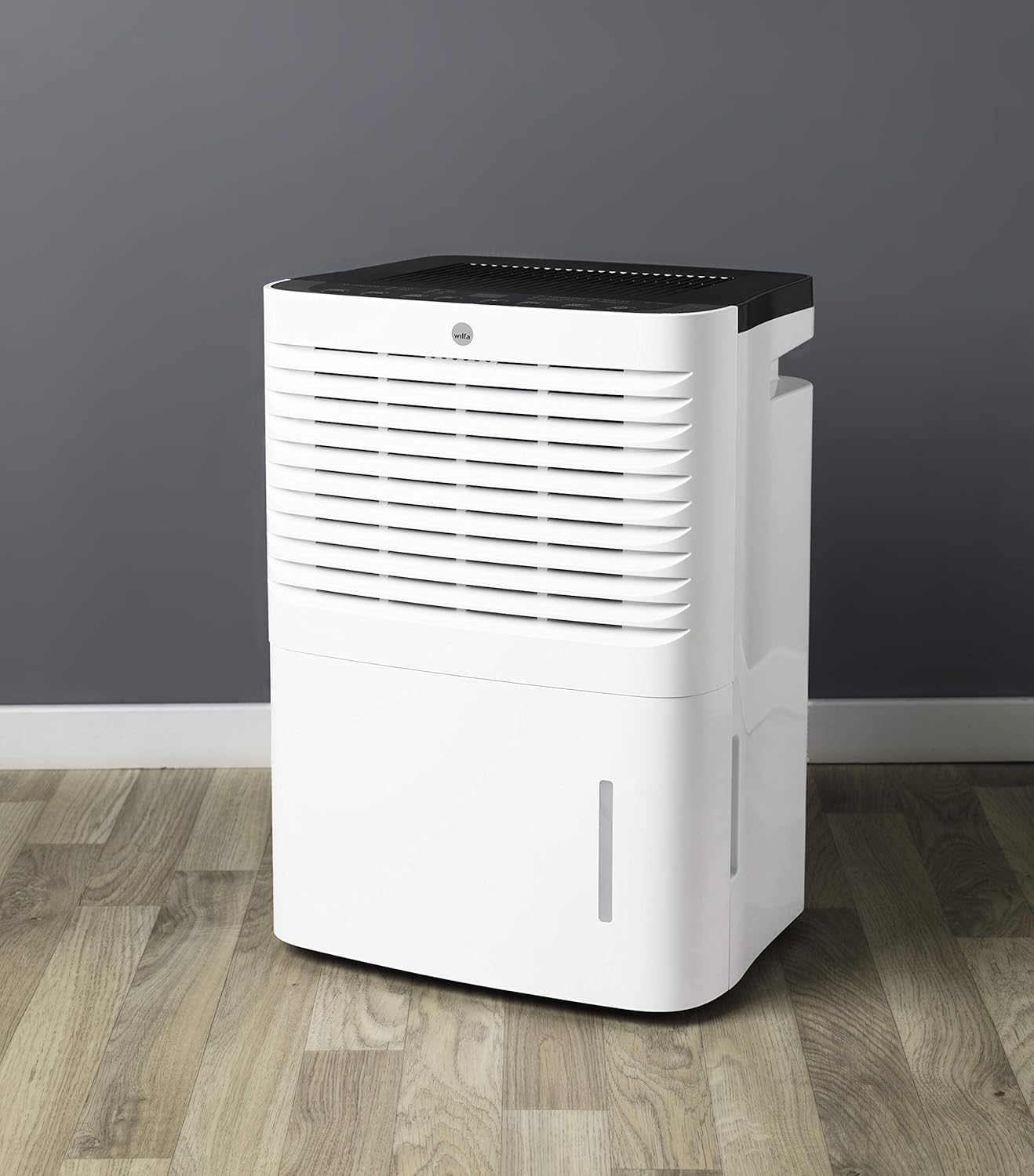 Foto del Deshumidificador