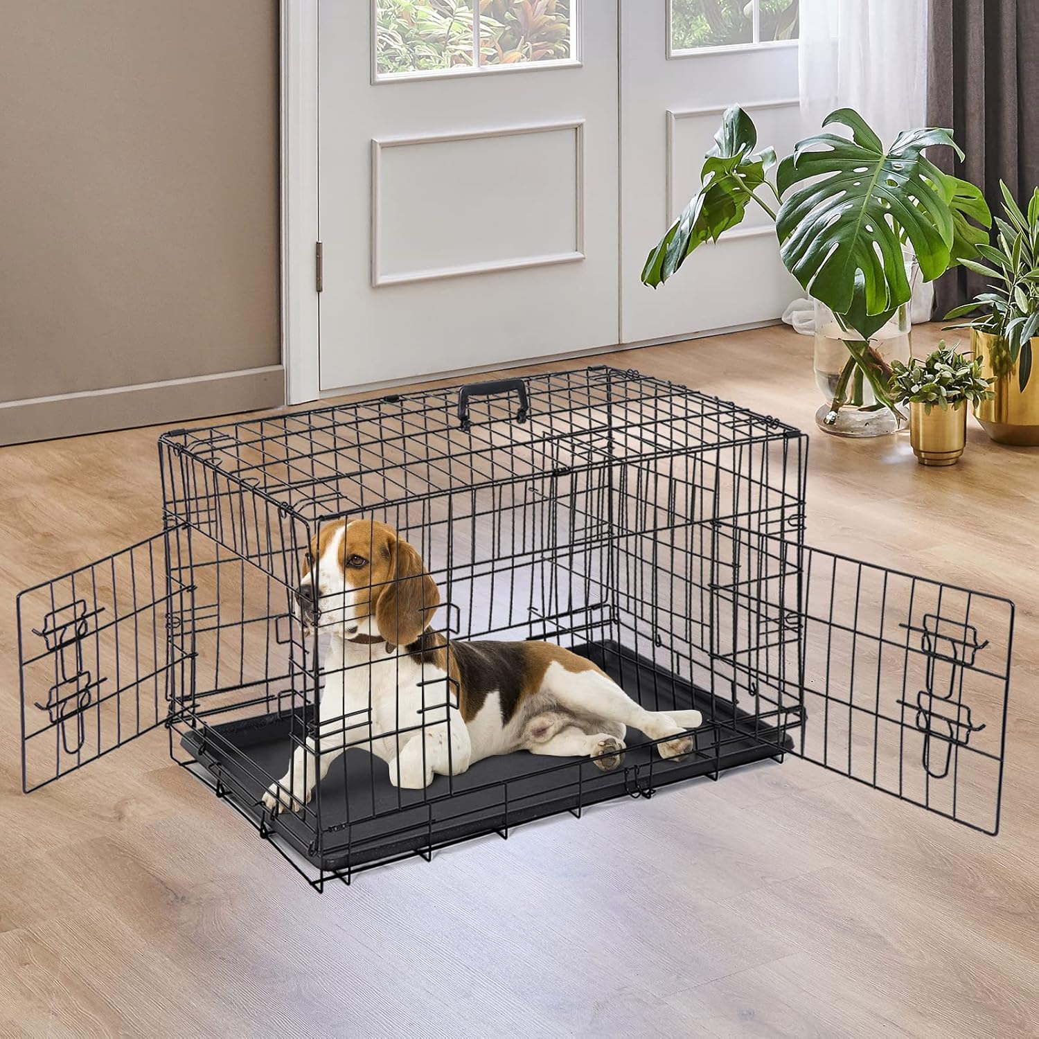 Buy ZENY 30 inch Dog Crate Double Door Folding Metal Dog or Pet Crate Kennel with Tray and