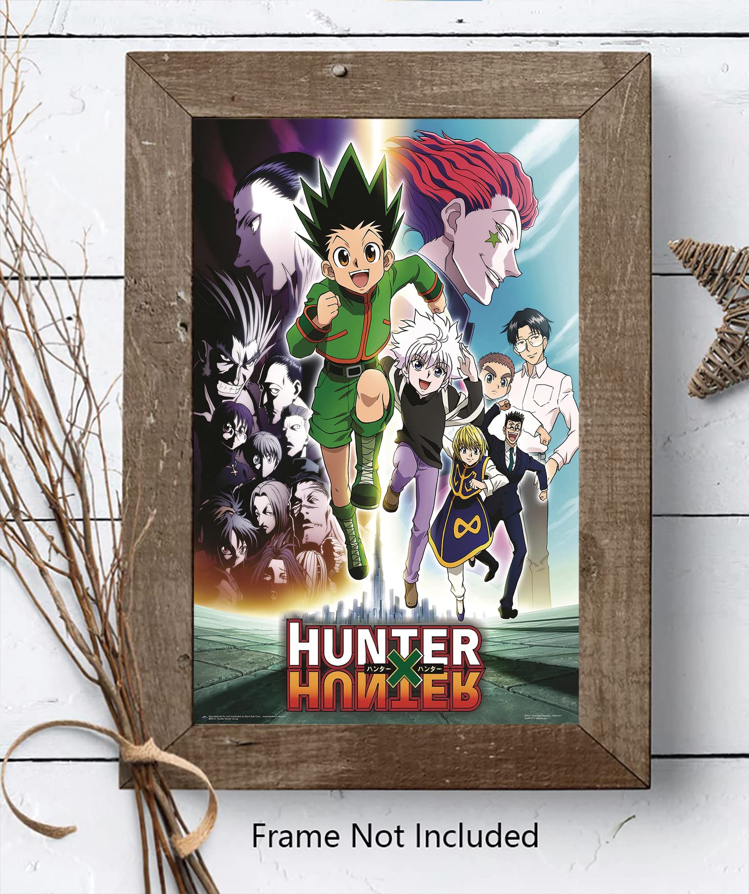 Amazon.com: XIHOO Christ-EZ Hunter X Hunter - Manga/Anime TV Show