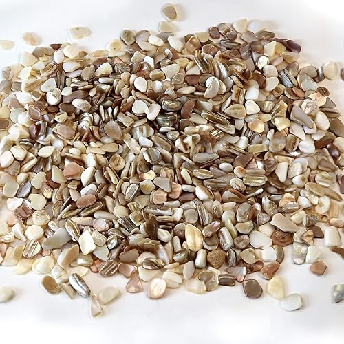 Miniatura 2 de QICQDRAM Conchas trituradas para manualidades de aproximadamente 2 libras (31.75 oz31.74 onzas), pequeñas conchas naturales trituradas a granel para