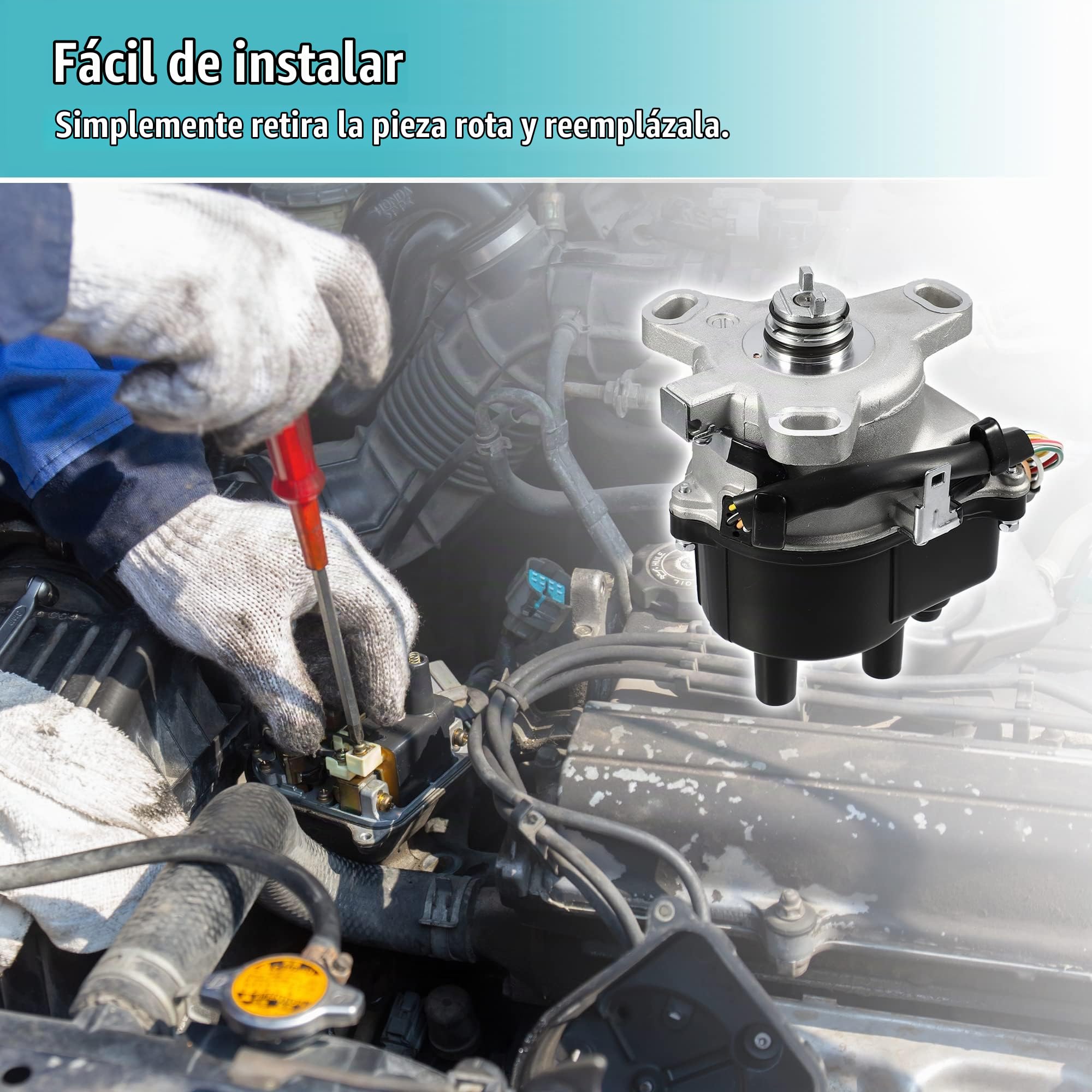QUARKZMAN Distribuidor Encendido Para Honda Cr-V 2.0L Dohc 99-01 1Pc | Material: Metal, Plastico, Color: Negro, Plateado, Oe: 30100-P6T-T01, 6082903, Tc08A, Td74U, Tamaño: 14X12X16 Cm, 8 Pines