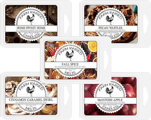 Fall Spice 香り付きワックスウォーマーメルト 5個パック 15オンス。 100%アメリカ産天然大豆。 手作り農場で盛り上がったキャンドル。 パラフィン不使用。 香り付きワックスメルト、ウォーマーキューブ。 ベーカリーの香り。