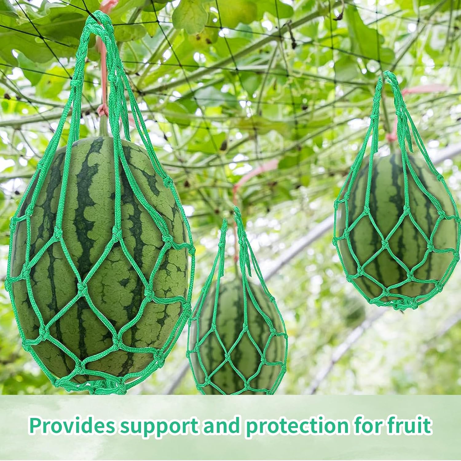 10 Pcs Melon Hammocks Cradles with D Hanging Hooks, for Trellis Heavy Duty Watermelon Nets,Or Growing Cantaloupe, Pumpkin,Honeydew in Vertical Garden (Green) 4 81vQLUfc9SL. AC SL1500