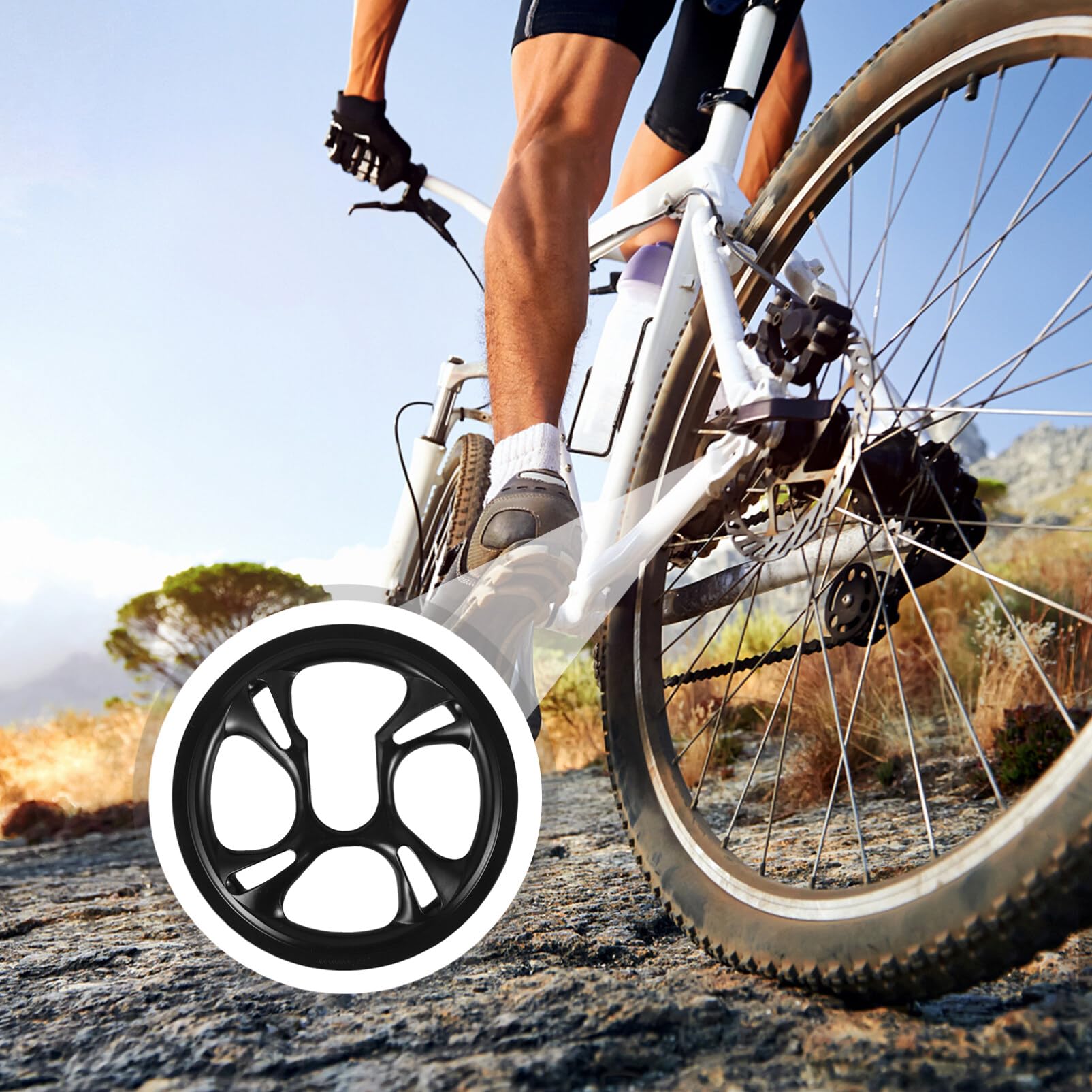 Bicycle Chain Plastic Chain Guard On Rear Wheel Bike Wheel Plastic