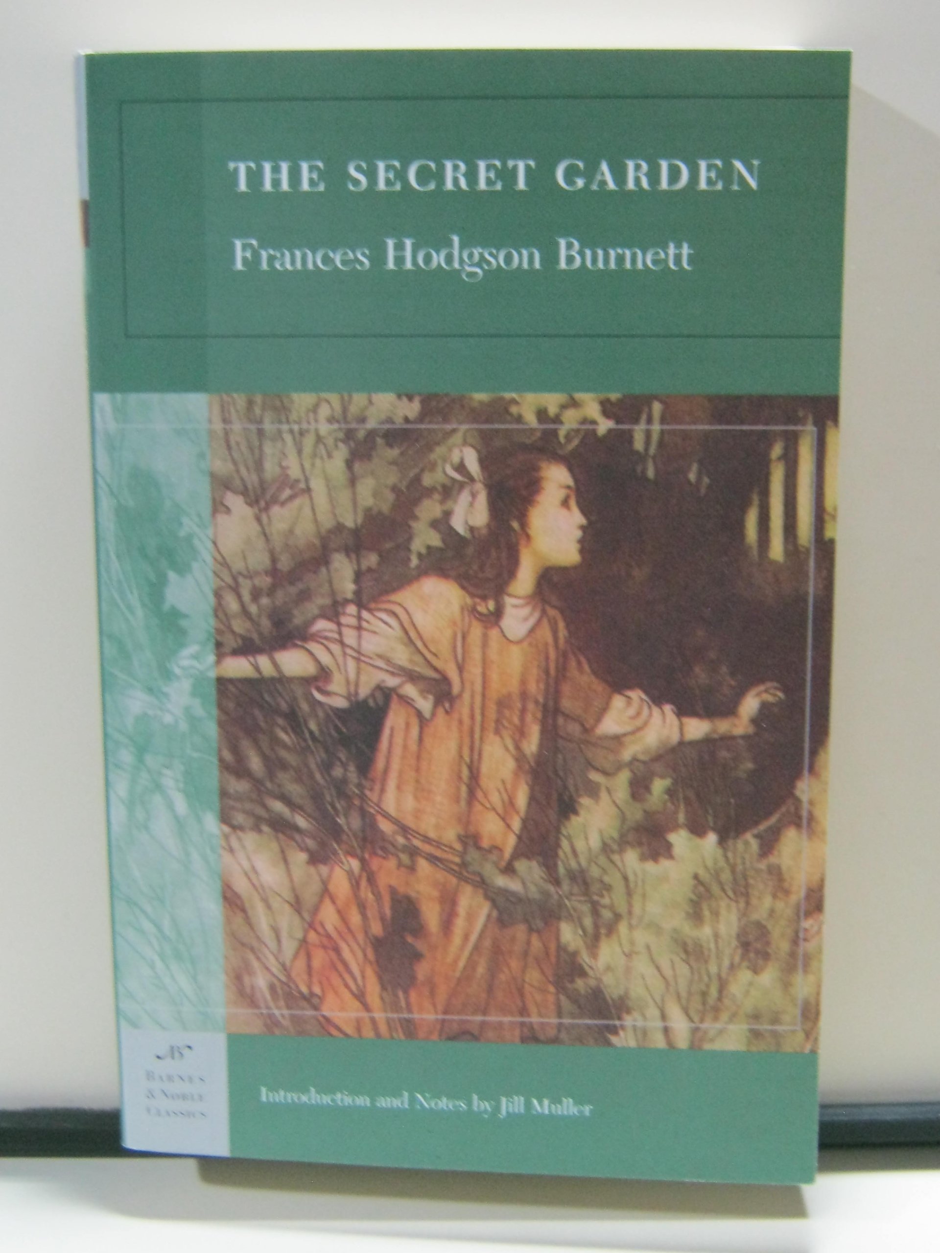 Buy The Secret Garden (Barnes & Noble Classics) — BookShops.in