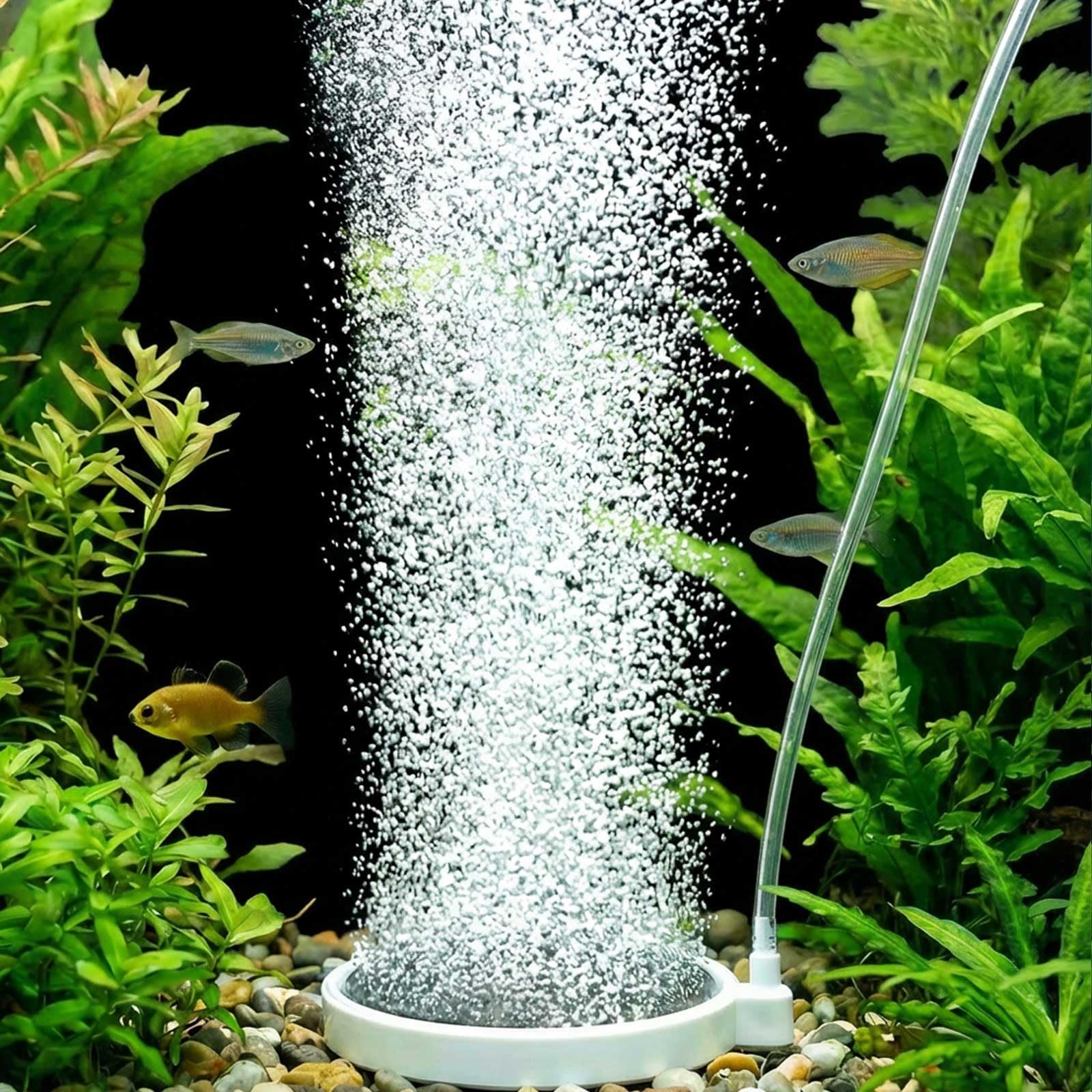 Blotfish Nano Aquarium Bubbler