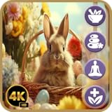 リラックスできるピアノ音楽 - 庭のイースターバニー