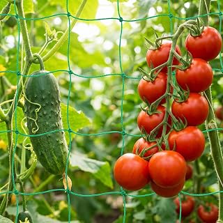 2 Stück Ranknetz für Gurken, 0.9x1.8m Ranknetz für Kletterpflanzen, Premium Gurkennetz für Kletterpflanzen, Rankhilfe Netz für Gurken, Tomaten, Pflanzennetz für Garten, Gewächshaus (Grün)