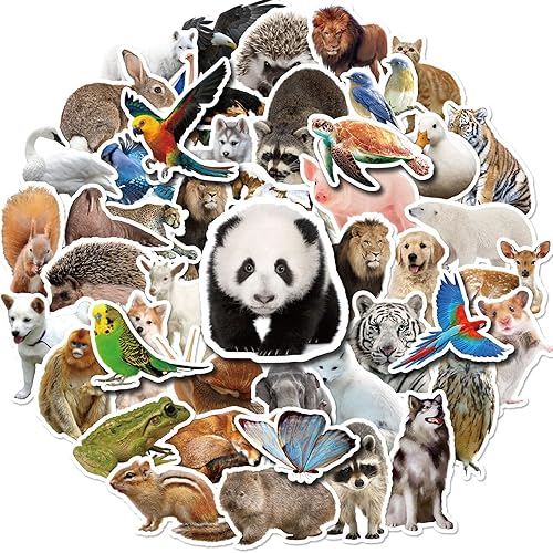 Juego de 50 calcomanías grandes, lindas mini calcomanías de animales, calcomanías de zoológico para niños Juego de 50 calcomanías grandes, lindas mini calcomanías de animales, calcomanías de zoológico para niños