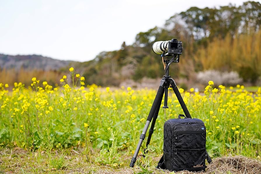 Amazon.co.jp: [ケンコー] カメラバッグ aosta Sanctuary III IS