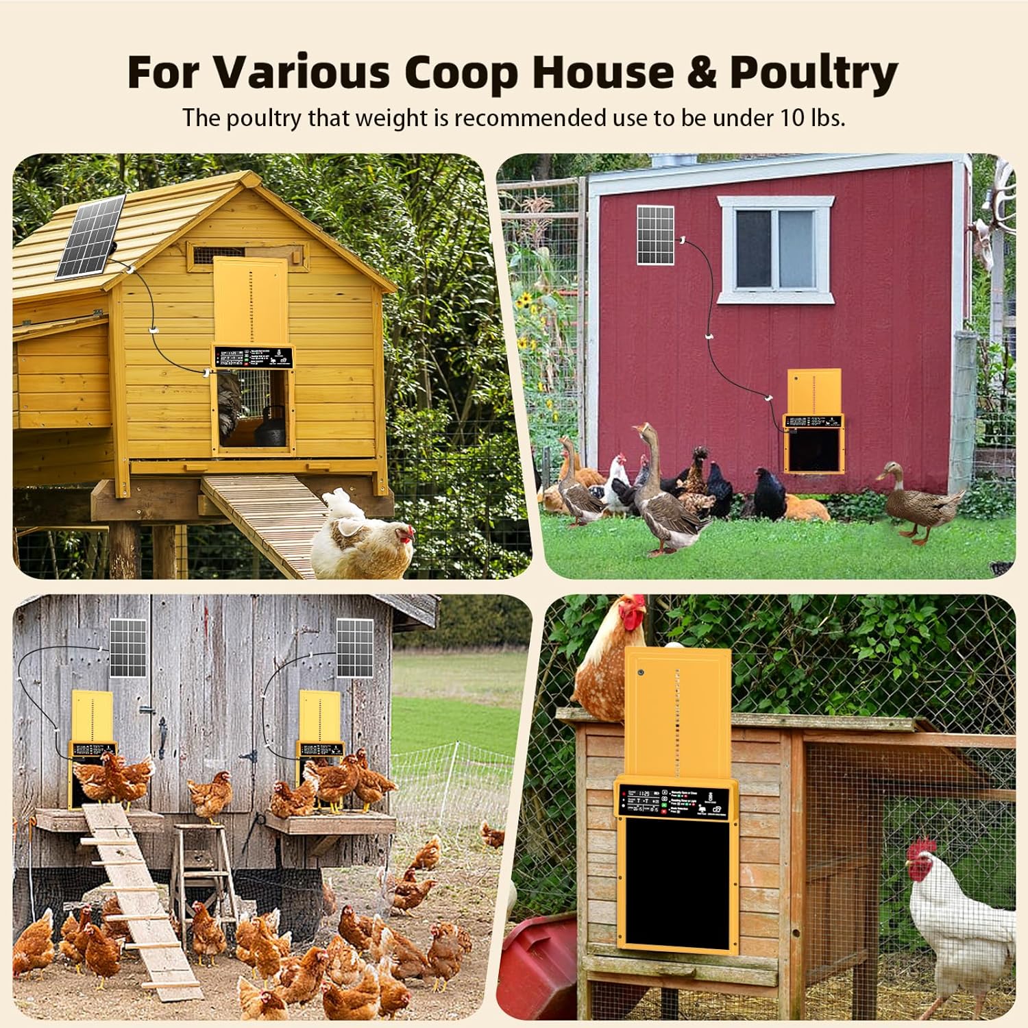 Automatic Chicken Coop Door Solar Powered, Pet Deluxe Chicken Door with Programmable Timer & Light Sensor, Anti-Pinch Safety, 7W Solar Panel, Aluminum Alloy with 10 Wire Clips Solar Chicken Door-Gold