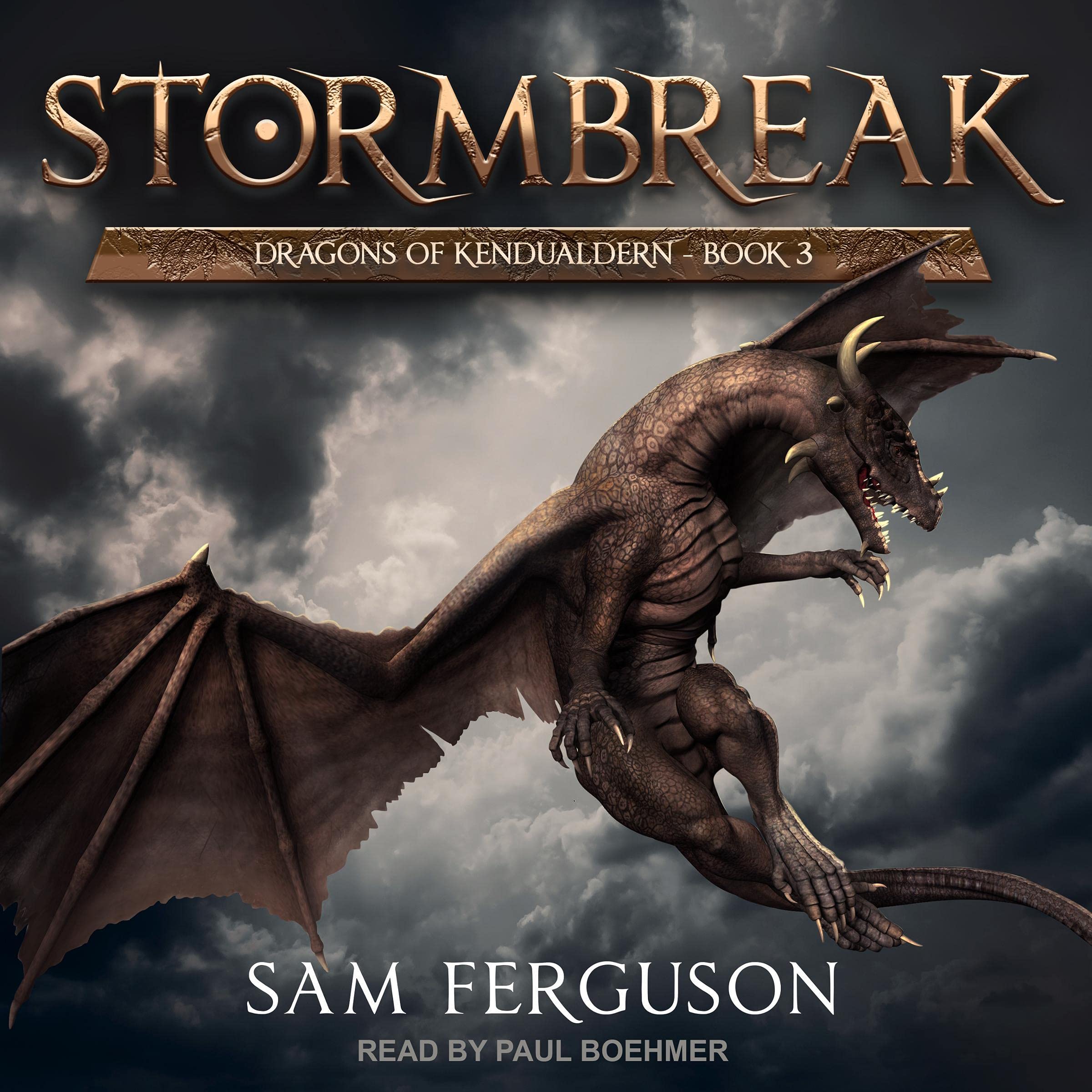 Cover art for Stormbreak