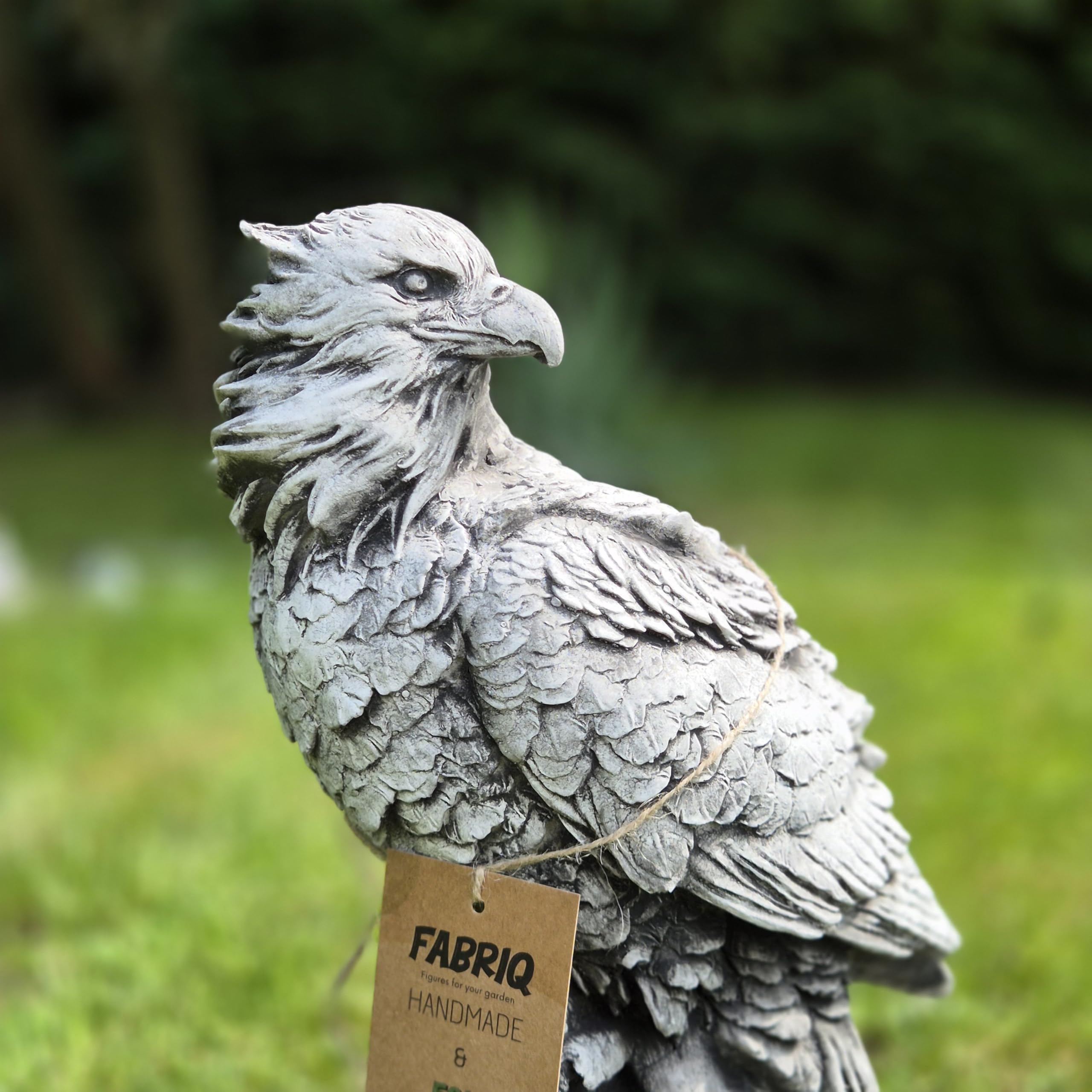 Abriq Aquila sulle rocce, decorazione da giardino realistica in pietra grezza resistente alle intemperie, antigelo per esterni, statua di aquila sulla roccia, aquila reale, altezza: 34 cm, 6 kg