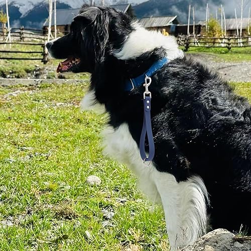 Miniatura 10 de Correa corta para perro, correa de entrenamiento para perros de tráfico, correa de entrenamiento para perros, extensión de correa para perro,