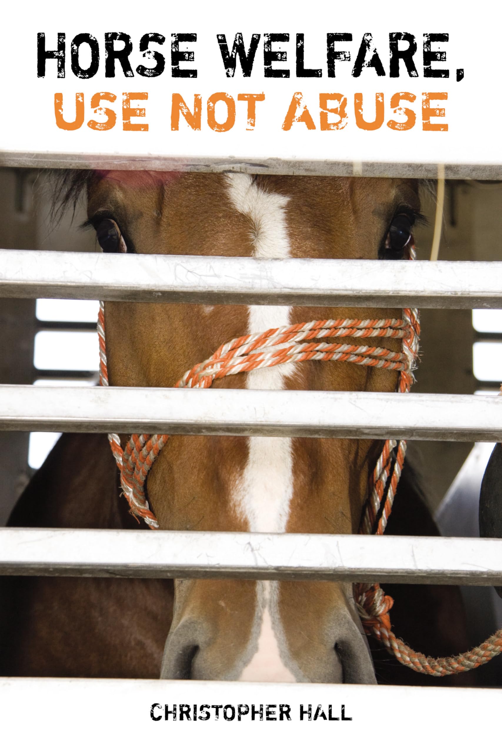 Buy Horse Welfare: Use Not Abuse — BookShops.in