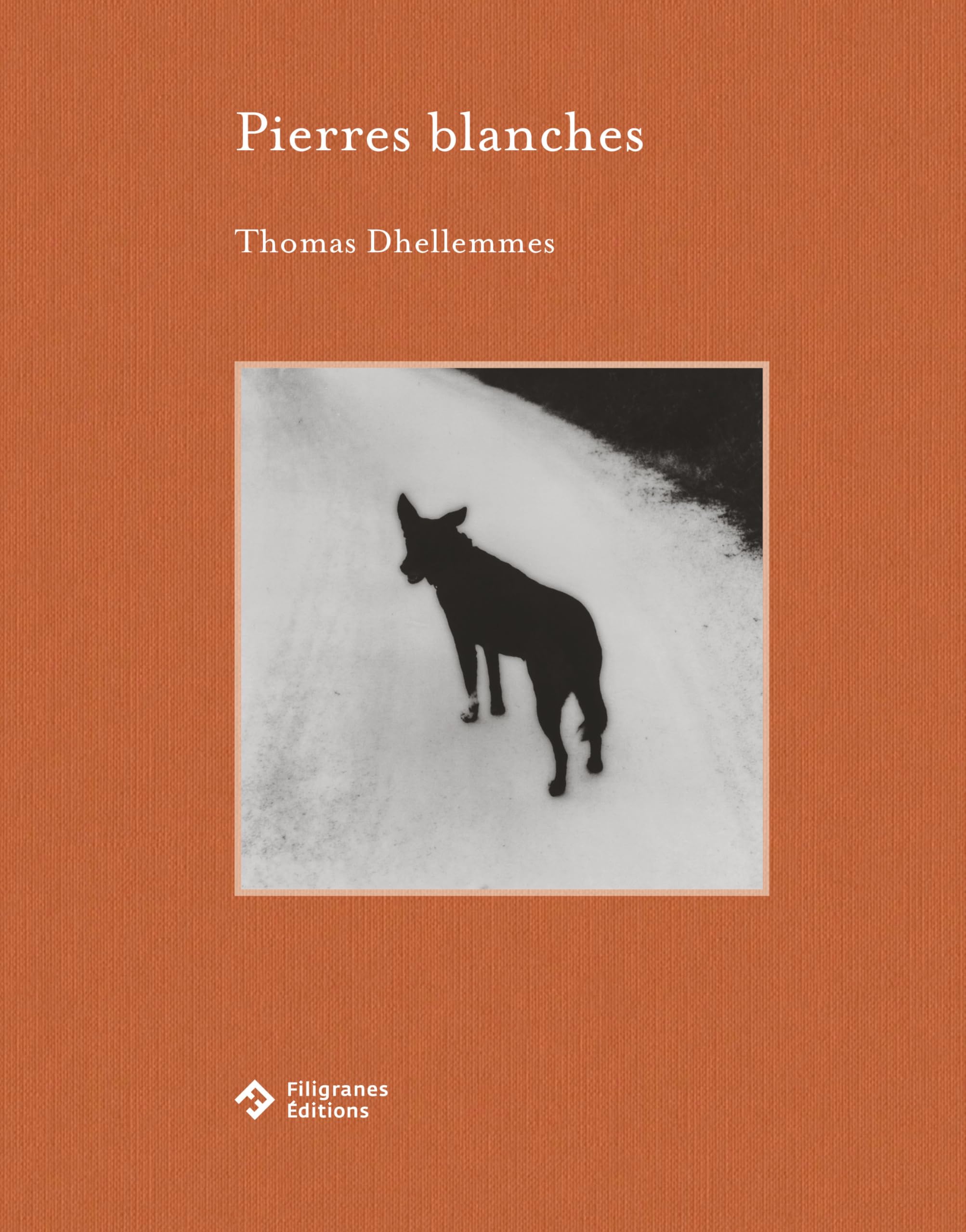 Pierres blanches galet de marbre ornement et décoration extérieure