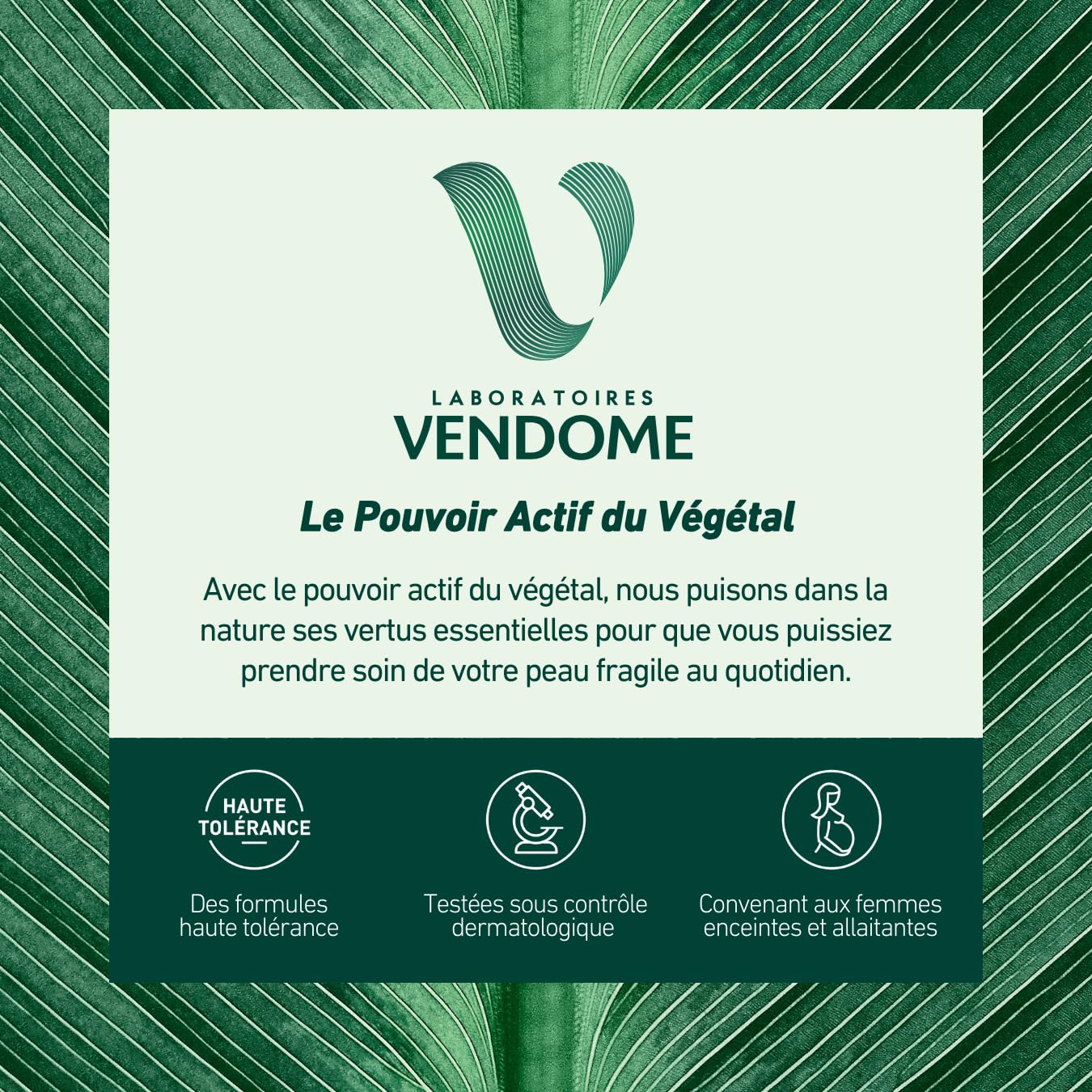LABORATOIRES VENDÔME - NUTRI V+ - Pain Dermatologique Huile d'Abricot - Corps & Visage - Nettoie en Douceur & Nourrit - pH Neutre & Sans Savon - Haute Tolérance - Peaux Sèches à Très Sèches - 100g